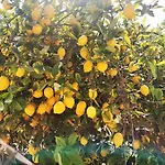 شقة Marcelina تورّيفيِخا